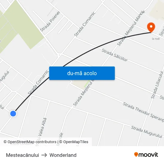 Harta de Mesteacănului către Wonderland