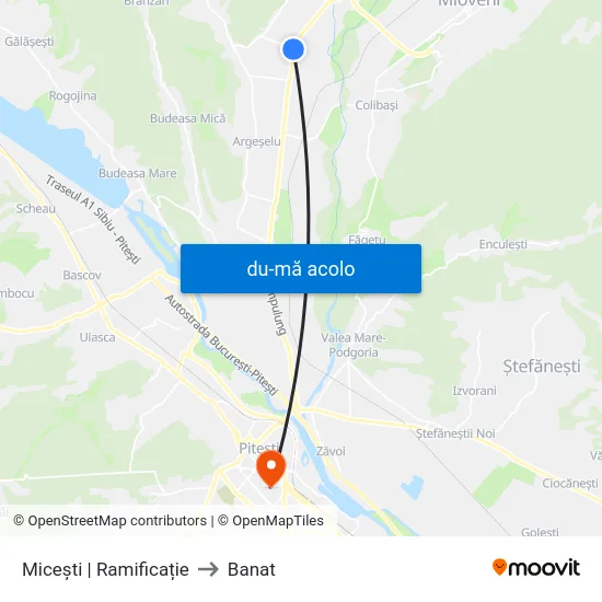 Harta de Micești | Ramificație către Banat