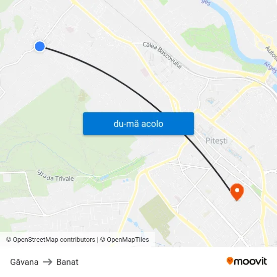 Harta de Găvana către Banat