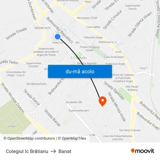 Harta de Colegiul Ic Brătianu către Banat