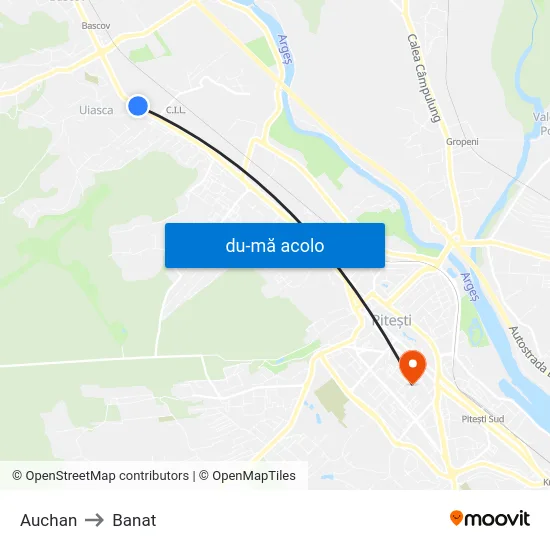 Harta de Auchan către Banat