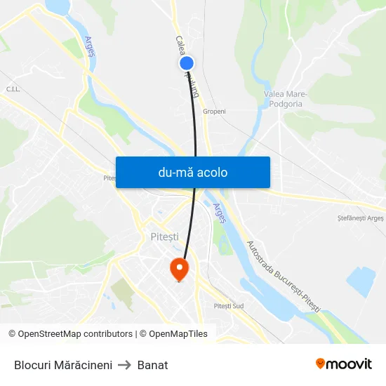 Harta de Blocuri Mărăcineni către Banat