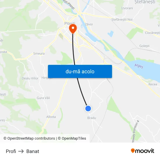 Harta de Profi către Banat