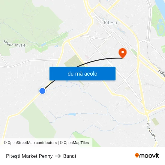 Harta de Pitești Market Penny către Banat