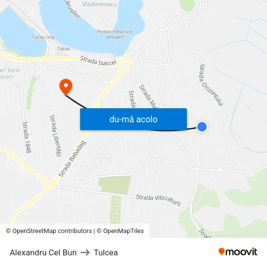 Harta de Alexandru Cel Bun către Tulcea