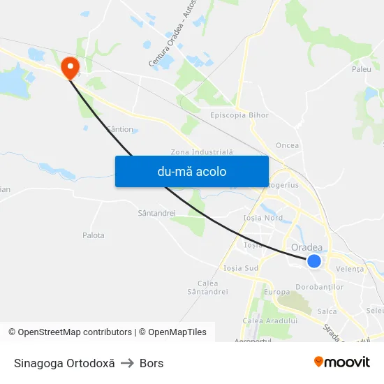 Harta de Sinagoga Ortodoxă către Bors