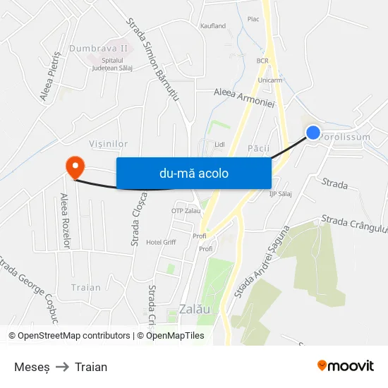 Harta de Meseş către Traian