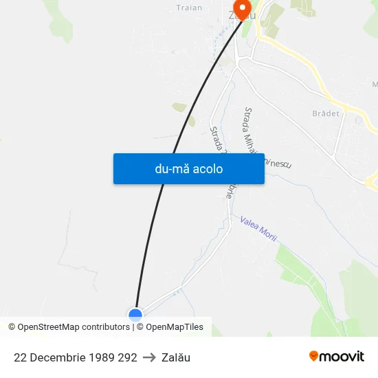 Harta de 22 Decembrie 1989 292 către Zalău