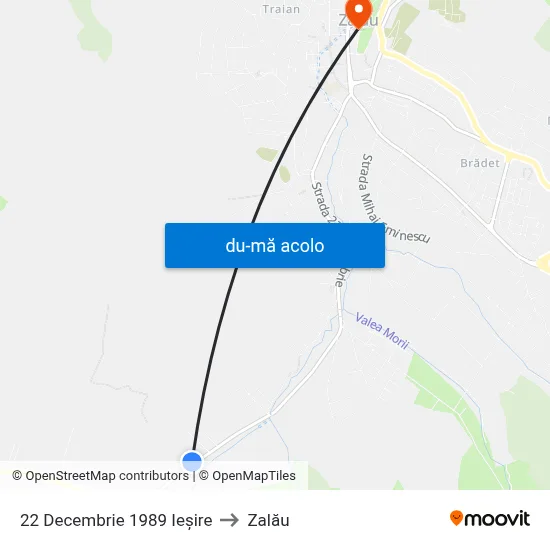 Harta de 22 Decembrie 1989 Ieșire către Zalău
