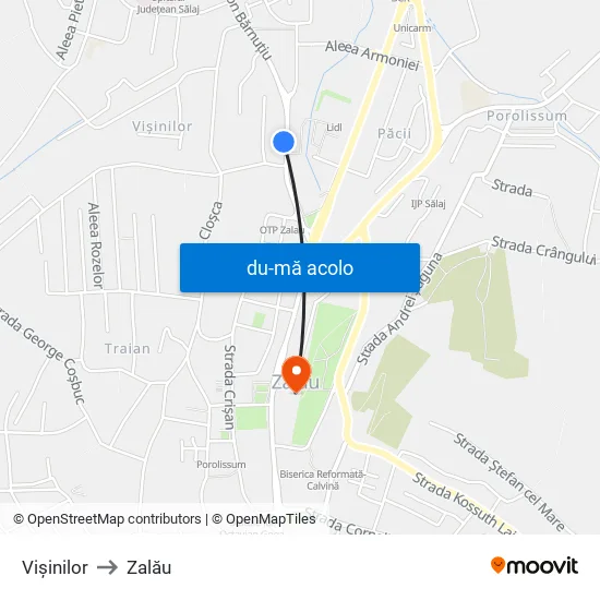 Harta de Vișinilor către Zalău