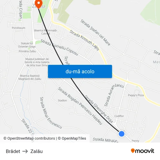 Harta de Brădet către Zalău