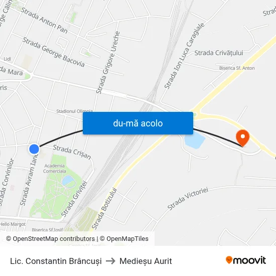 Harta de Lic. Constantin Brâncuși către Medieşu Aurit
