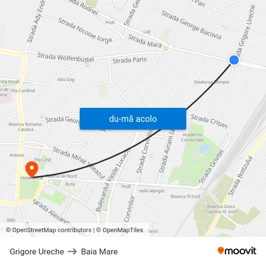 Harta de Grigore Ureche către Baia Mare