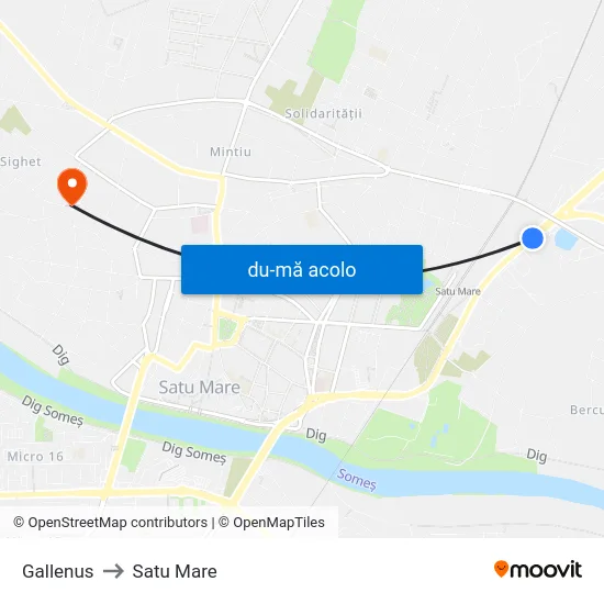 Harta de Gallenus către Satu Mare