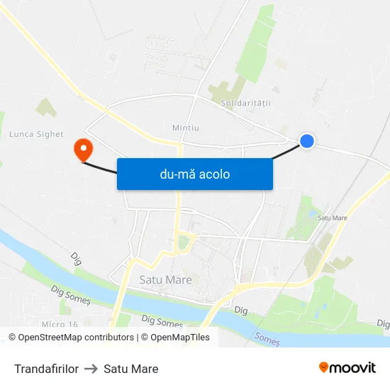 Harta de Trandafirilor către Satu Mare