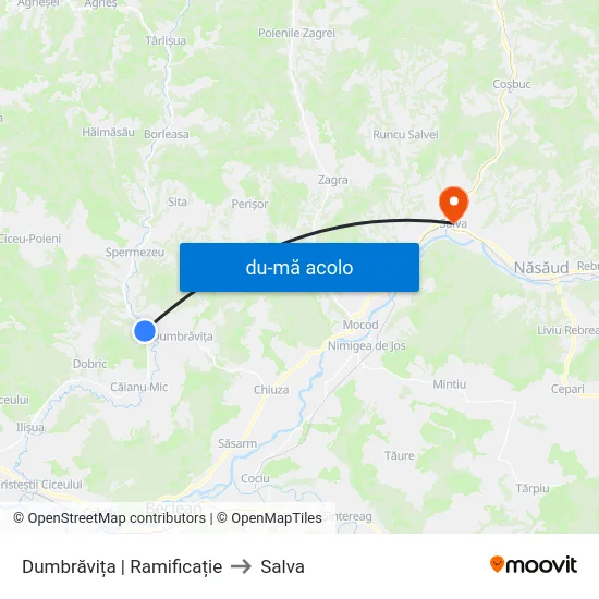 Harta de Dumbrăvița | Ramificație către Salva
