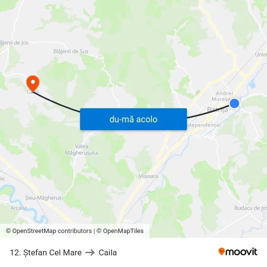 Harta de 12. Ștefan Cel Mare către Caila