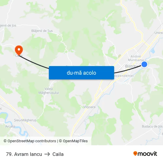 Harta de 79. Avram Iancu către Caila