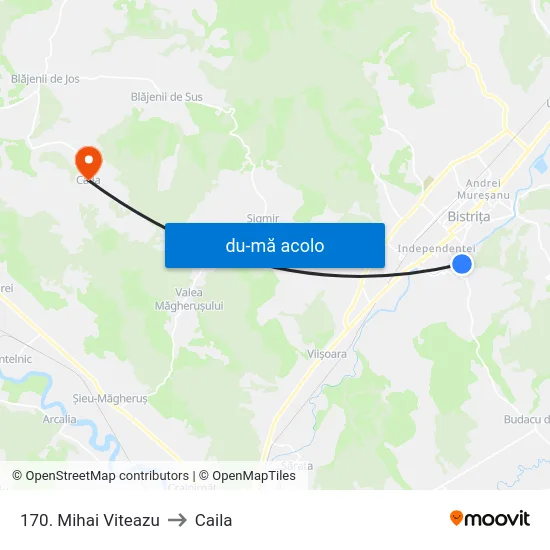 Harta de 170. Mihai Viteazu către Caila