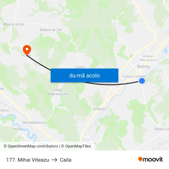 Harta de 177. Mihai Viteazu către Caila