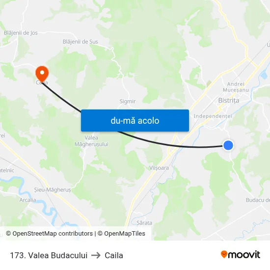 Harta de 173. Valea Budacului către Caila