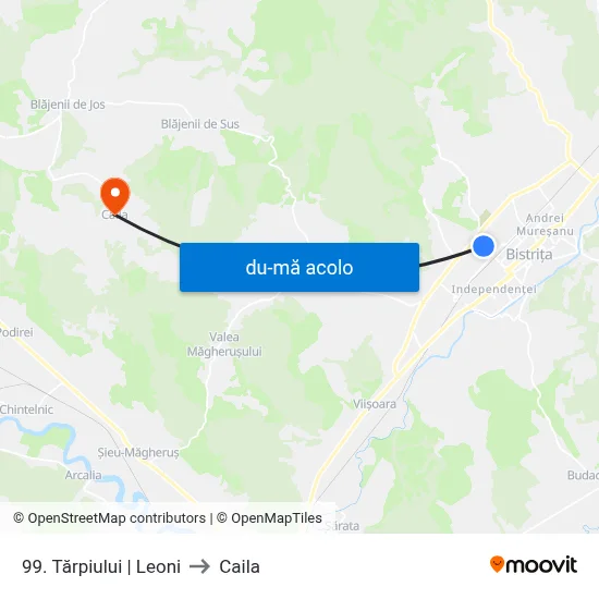 Harta de 99. Tărpiului | Leoni către Caila