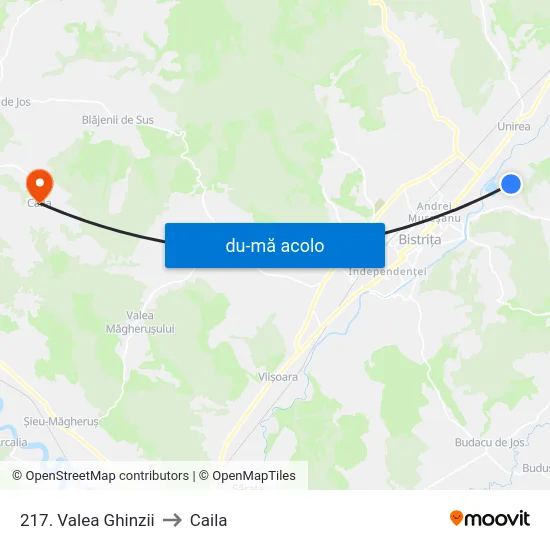 Harta de 217. Valea Ghinzii către Caila