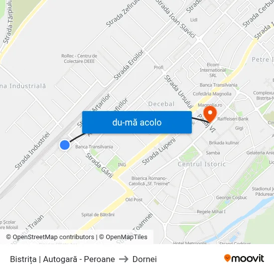 Harta de Bistrița | Autogară - Peroane către Dornei