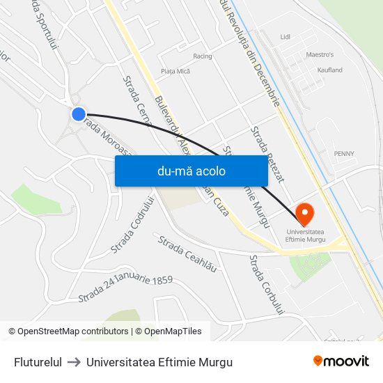 Harta de Fluturelul către Universitatea Eftimie Murgu