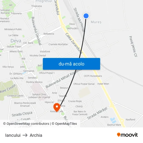 Harta de Iancului către Archia