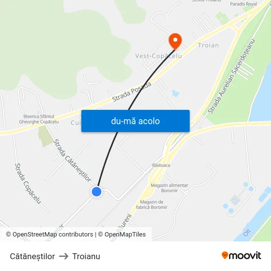 Harta de Cătăneștilor către Troianu