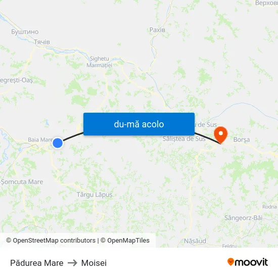 Harta de Pădurea Mare către Moisei