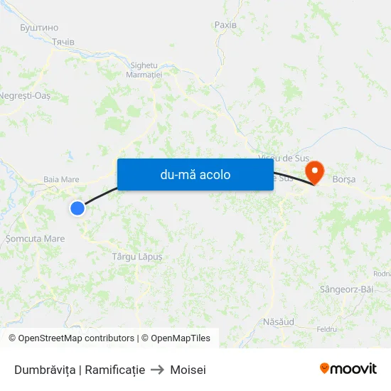 Harta de Dumbrăvița | Ramificație către Moisei