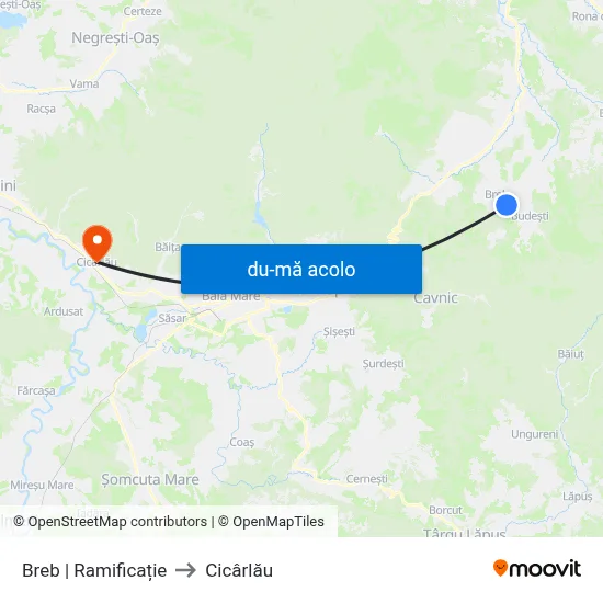 Harta de Breb | Ramificație către Cicârlău