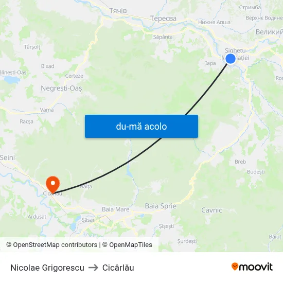 Harta de Nicolae Grigorescu către Cicârlău