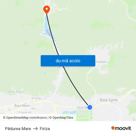 Harta de Pădurea Mare către Firiza