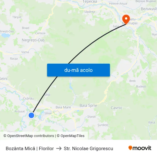 Harta de Bozânta Mică | Florilor către Str. Nicolae Grigorescu