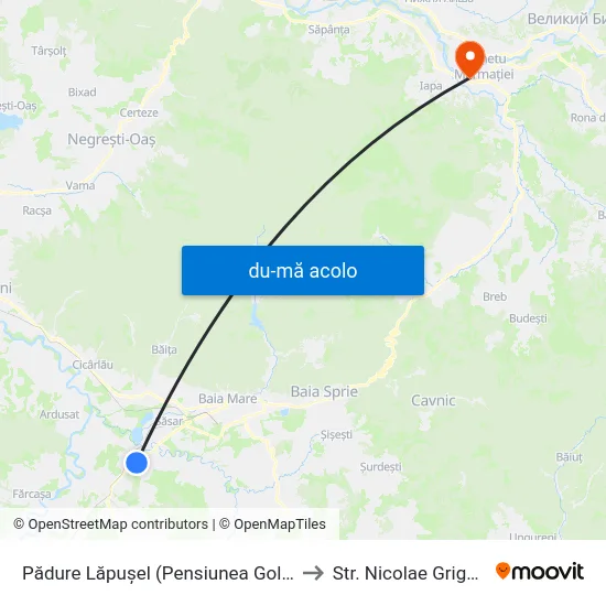 Harta de Pădure Lăpușel (Pensiunea Golden Star) către Str. Nicolae Grigorescu