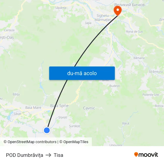 Harta de Dumbrăvița | Ramificație către Tisa