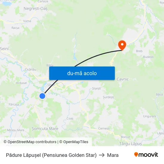 Harta de Pădure Lăpușel (Pensiunea Golden Star) către Mara