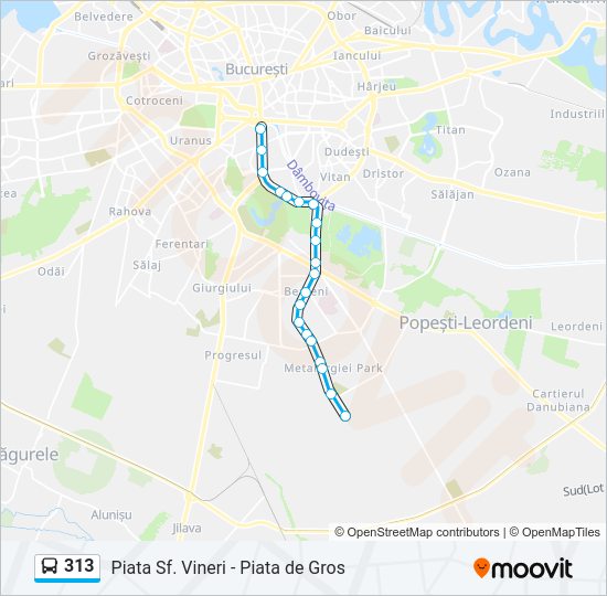 Hartă linie autobuz 313