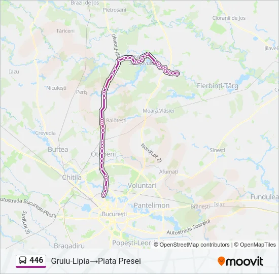 446 Bus Line Map