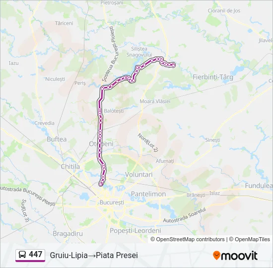 447 Bus Line Map