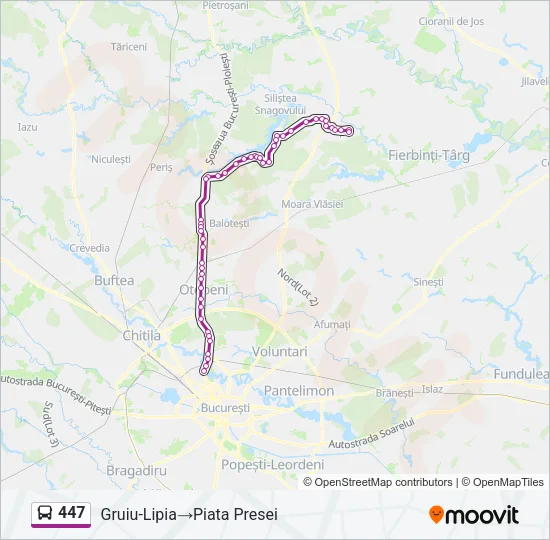 447 Bus Line Map