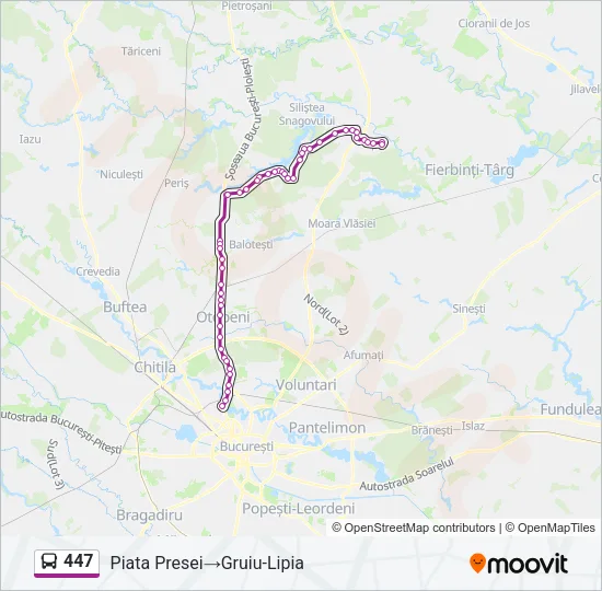 447 Bus Line Map