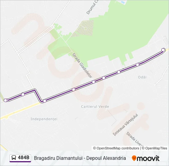 484B Bus Line Map