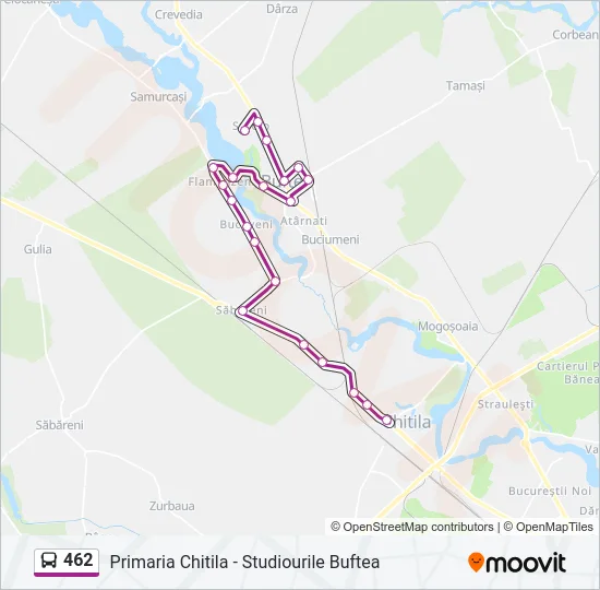 462 Bus Line Map
