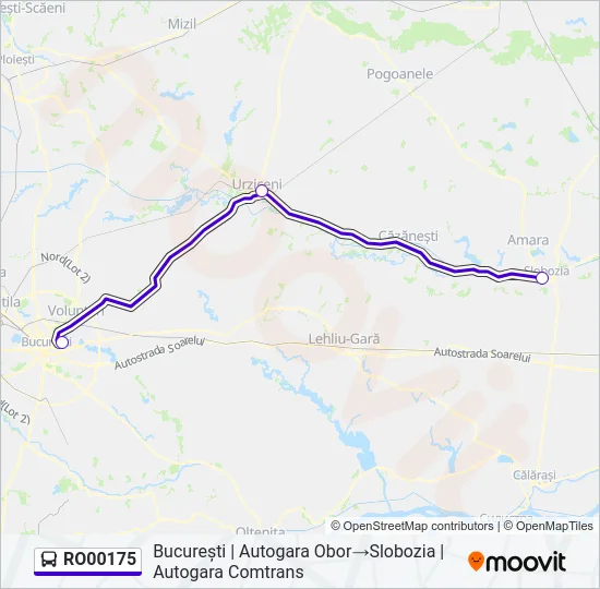 RO00175 Bus Line Map