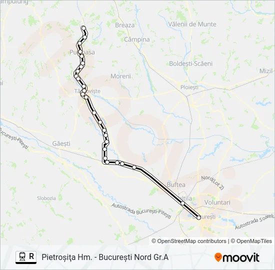 R Train Line Map