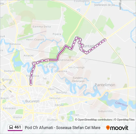 461 Bus Line Map